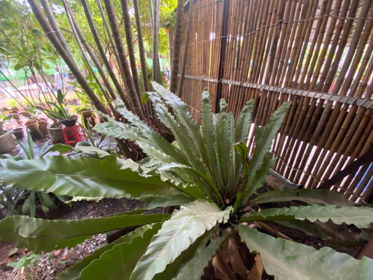 Mayuree Resort Udonthani Kültér fotó