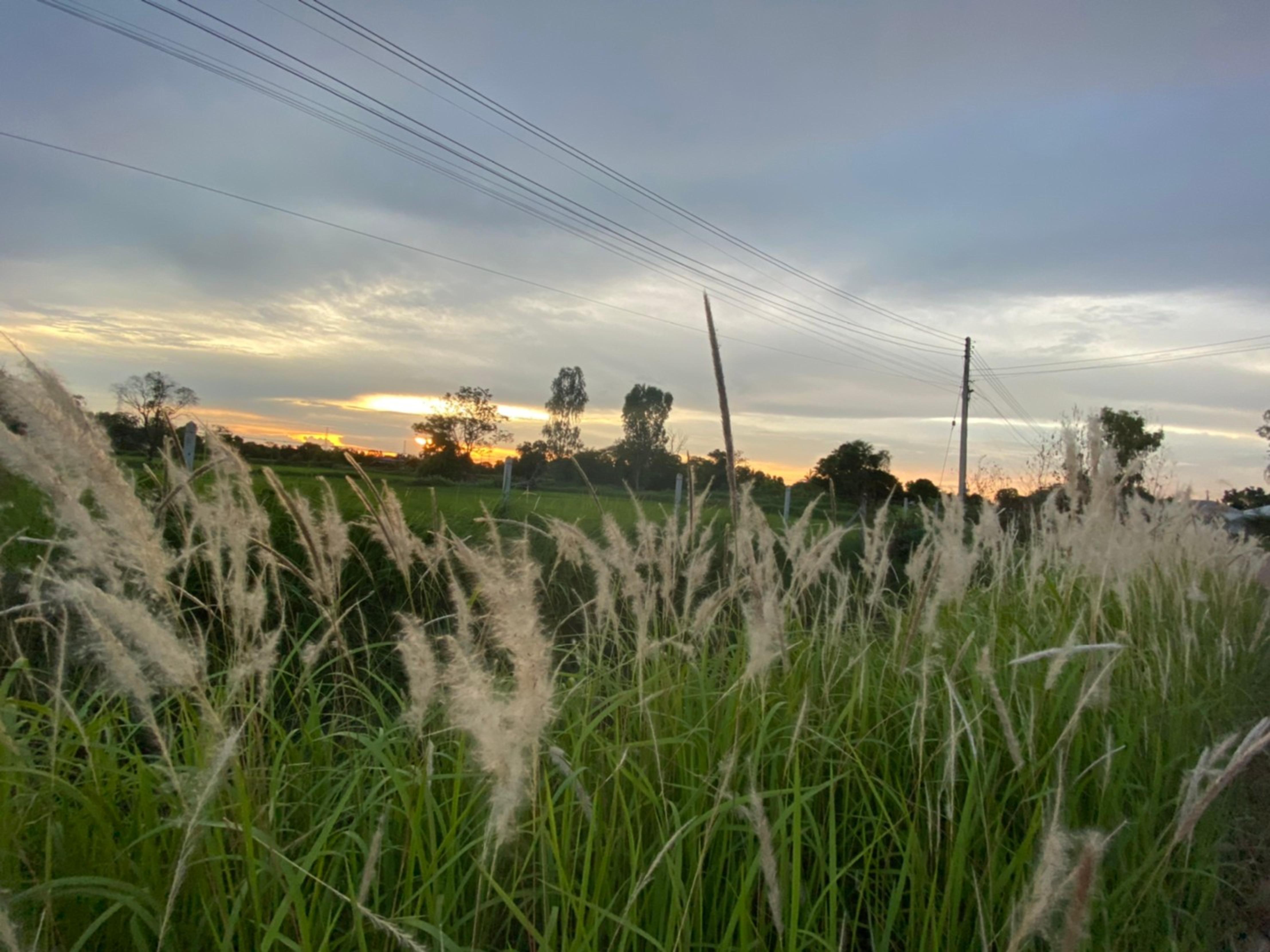 Mayuree Resort Udonthani Kültér fotó