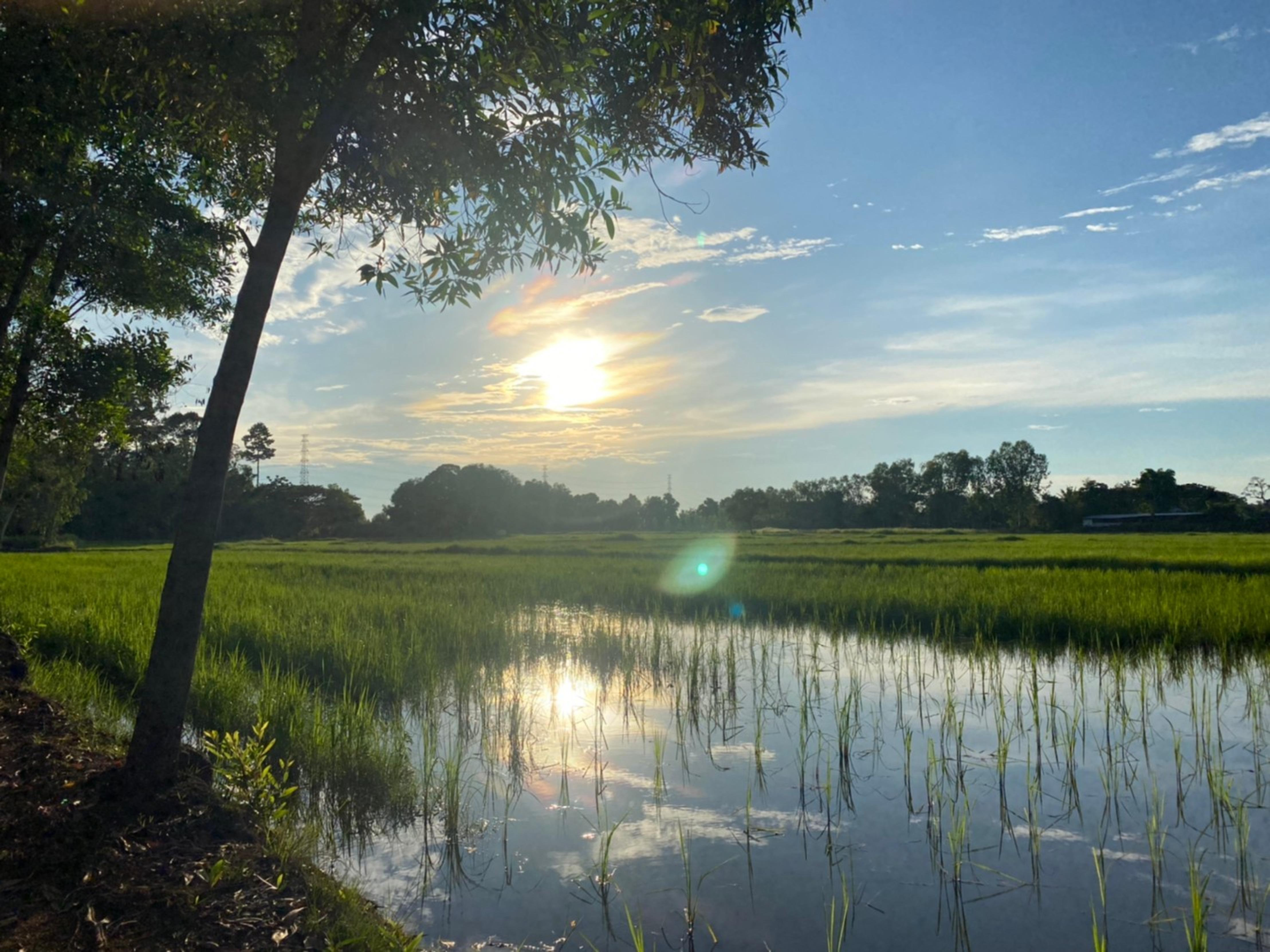 Mayuree Resort Udonthani Kültér fotó